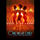ONE NIGHT ONLY with the DREAMGIRLS